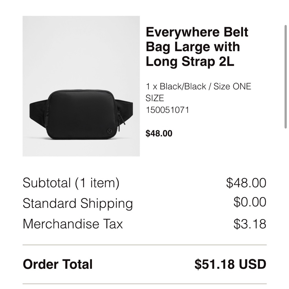 Everywhere Belt Bag Large with Long Strap 2L